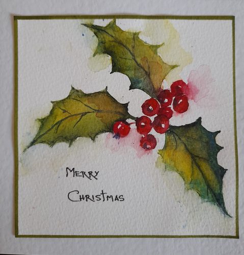 Chrissy F, Holly, watercolour.